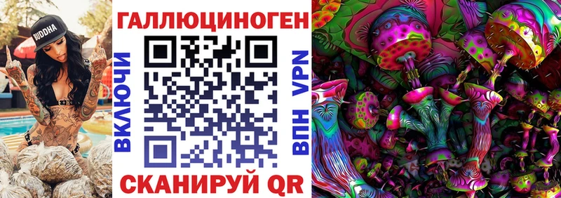 закладка  Люберцы  Галлюциногенные грибы Cubensis 